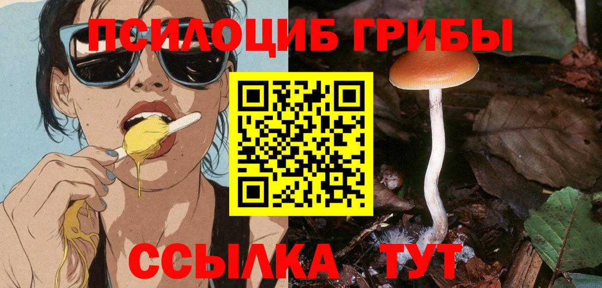 Псилоцибиновые грибы GOLDEN TEACHER  Вход с VPN  Карачаевск 