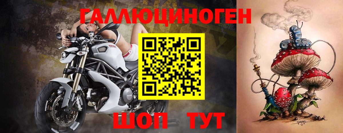 Галлюциногенные грибы мухоморы Карачаевск